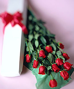 boxeddozenroses.jpg