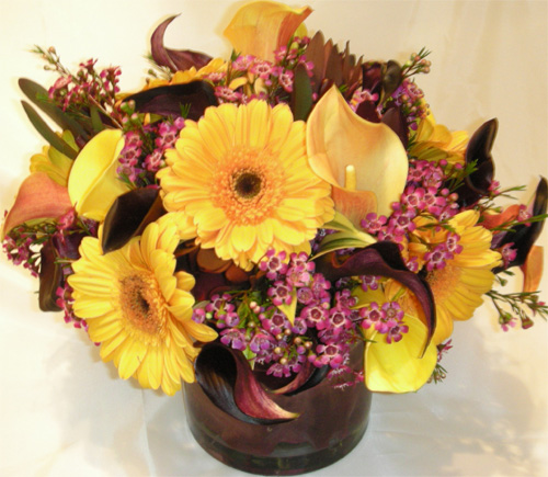 eggplant-yellow.jpg
