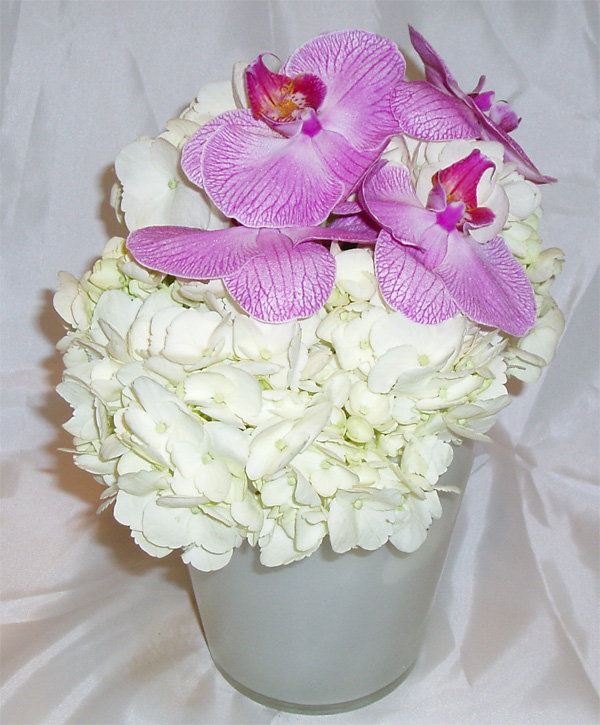 orchid-puff.jpg