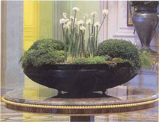 planter1.jpg