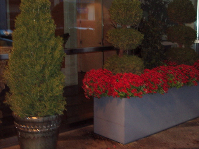 poin-planter.jpg