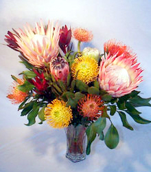 protea_assortment.jpg
