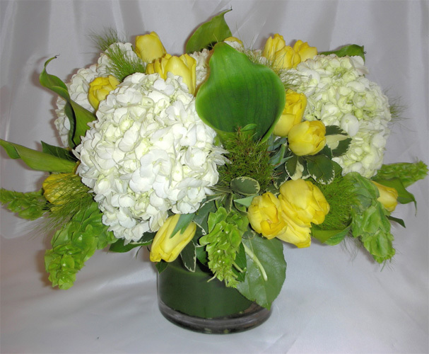yellow-green.jpg